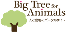 Big Tree For Animals