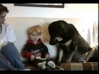 こっそり食べ物を盗む犬たち・・・ こっそり食べ物を盗む犬たち・・・