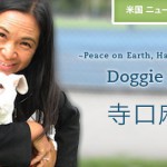 【米国／東海岸発】ドギープロジェクト、オーナー寺口麻穂さん インタビュー
