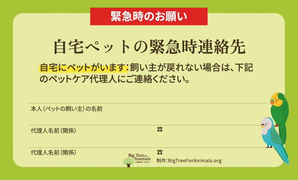 ペットの意思表示カード（片面・鳥）