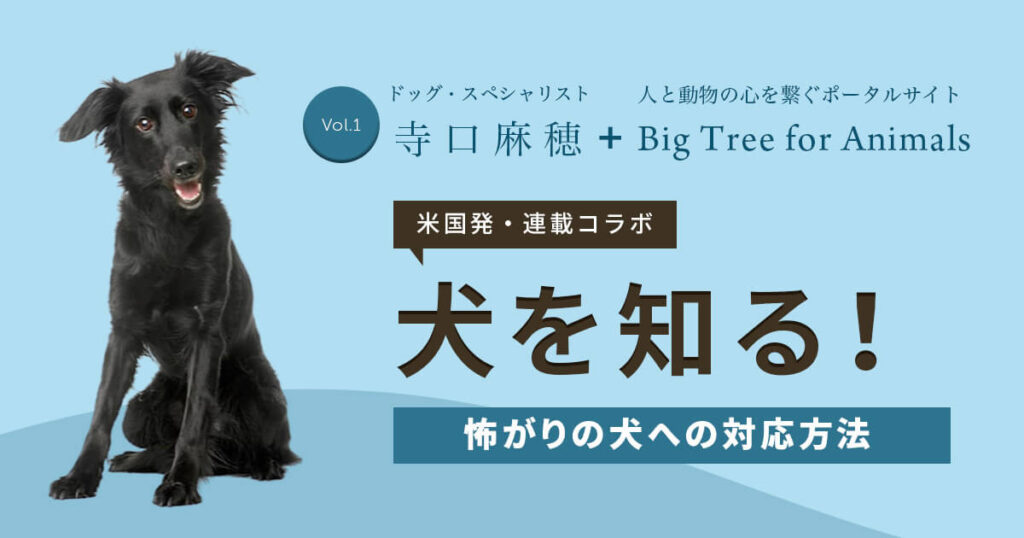 【米国発】連載コラボ企画！第１回目：「犬が怖がってる時は抱きしめてあげるのが一番良い」は本当？