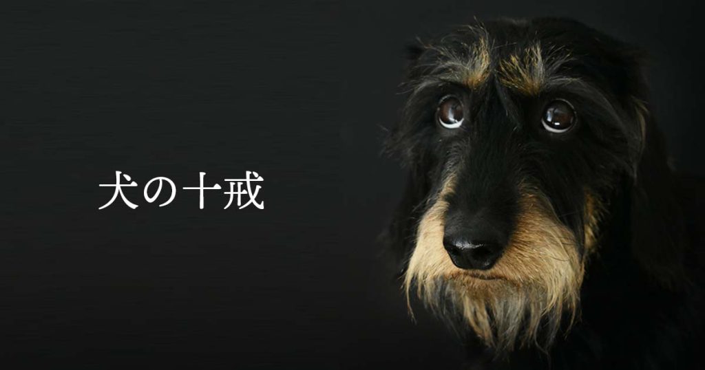 犬の10の戒律（ワンコの誓い）