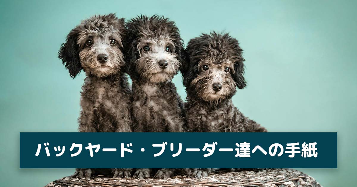 バックヤード（裏庭）ブリーダー達への手紙