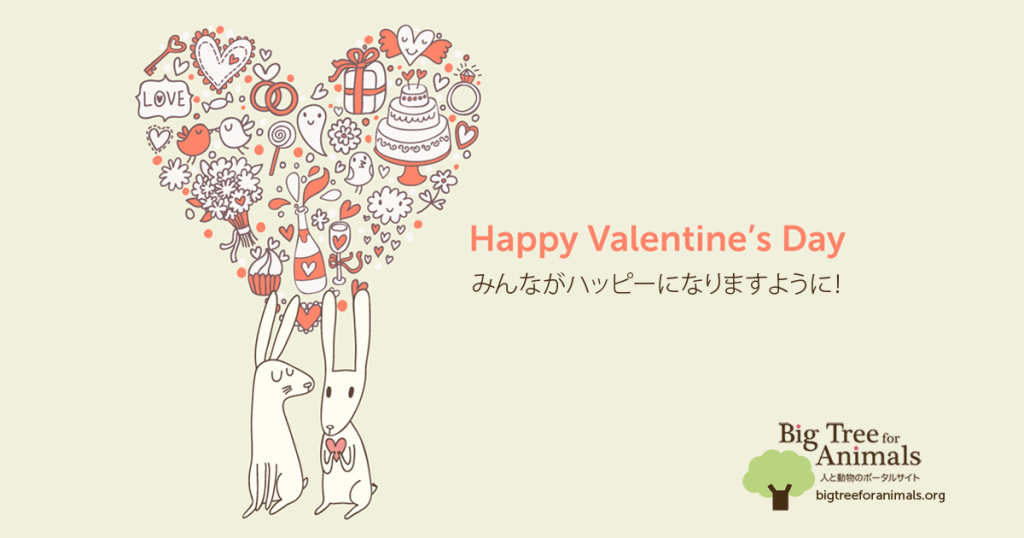 バレンタインデー！