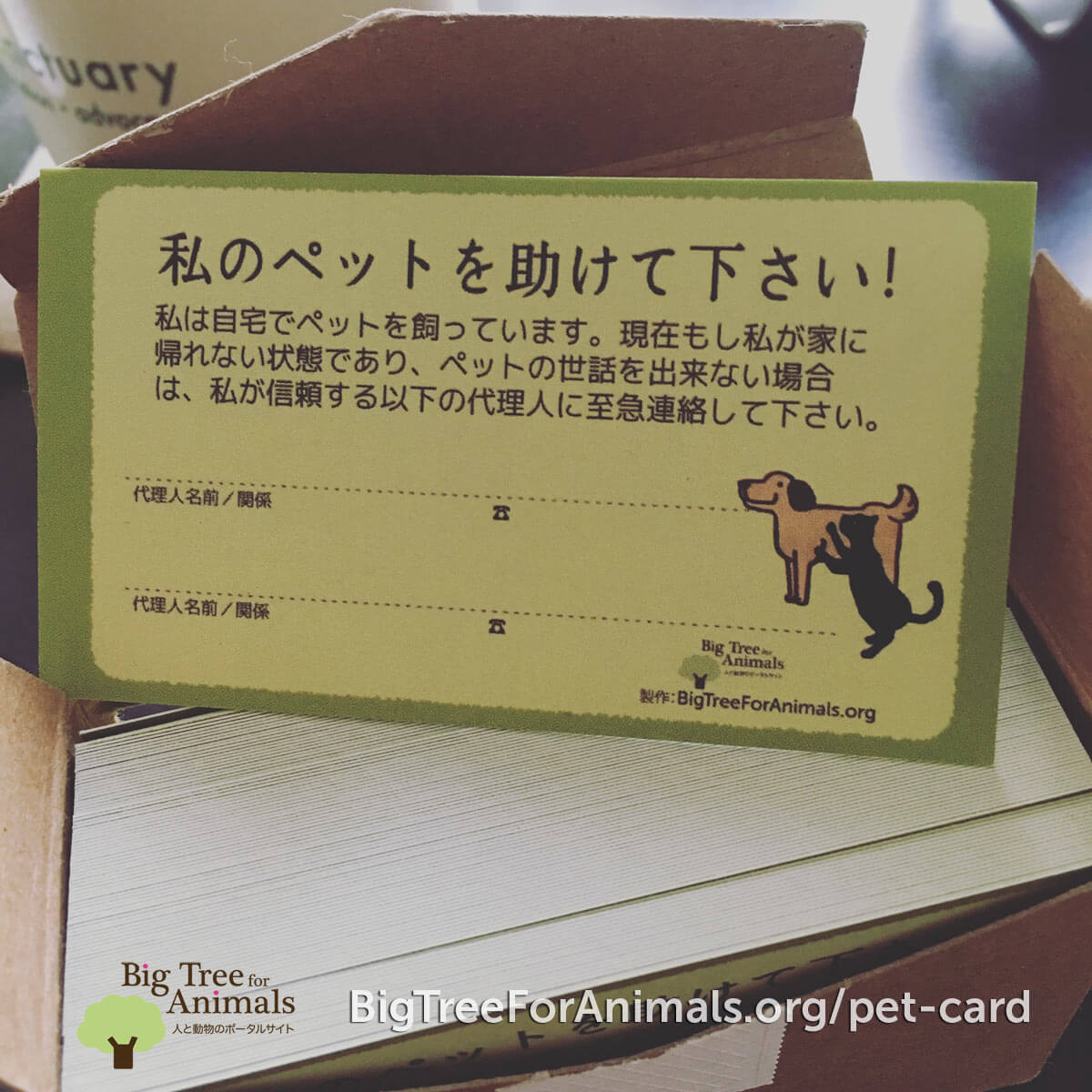 ペットを家に残したまま出先で事故に ペットが家に残されている事を知らせてくれる ペットの為の意思表示カード 無料ダウンロード 犬 猫 ウサギ 鳥バージョン Big Tree For Animals