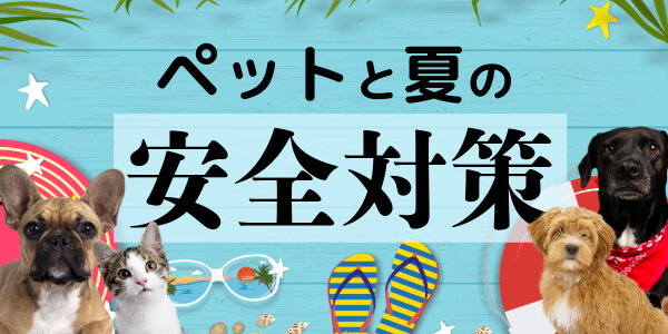 ペットと夏の安全対策