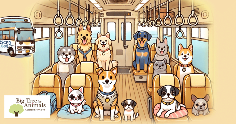Rescue dogs in bus