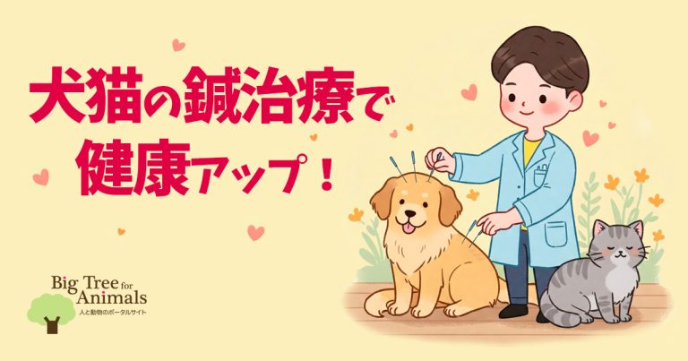 犬猫の鍼治療で健康アップ!