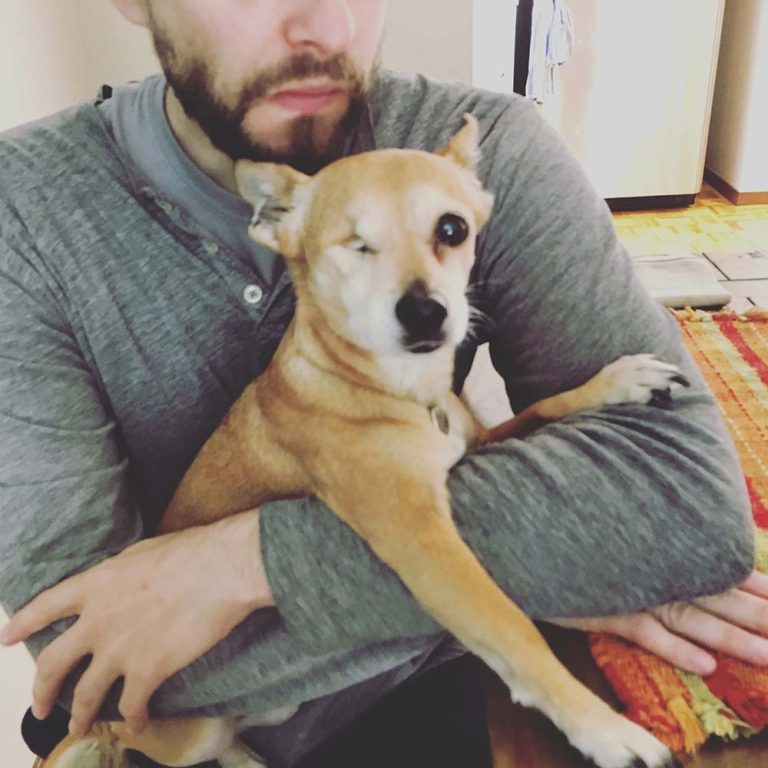 父さんとパンプキン